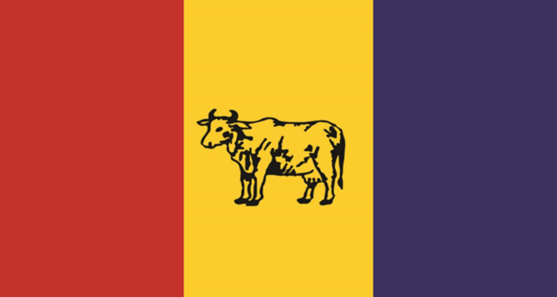 The Rastriya Prajatantra Party: A Comprehensive Overview